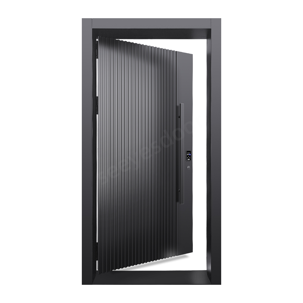 Steel Door